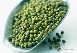 Green Moong Bean Manufacturer Supplier Wholesale Exporter Importer Buyer Trader Retailer in Chennai Tamil Nadu India